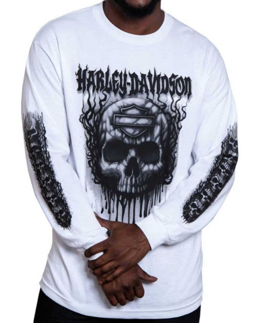 ハーレーダビットソン harley davidson ドクロフレイム 長袖ロンT