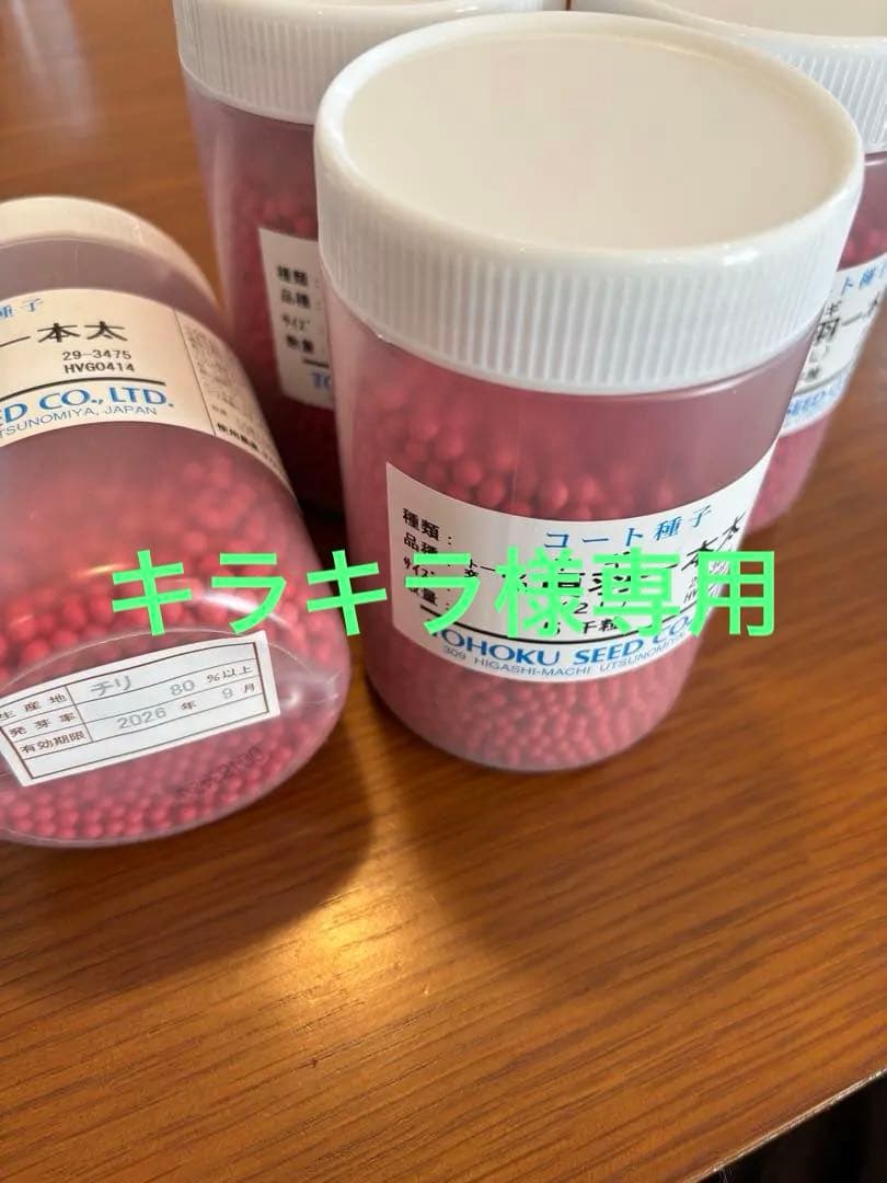 ネギ種「項羽一本太」５０００粒、3個