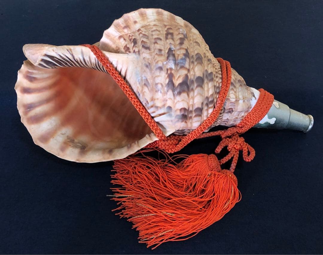 《レ》約41㎝ 修験道法螺貝 紐付 山伏 ほら貝 貝笛 251118え3