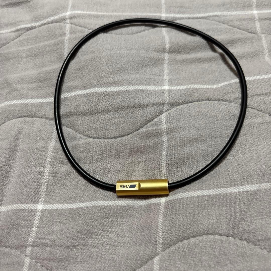 SEV シンプル チョーカー ネックレス 黒金