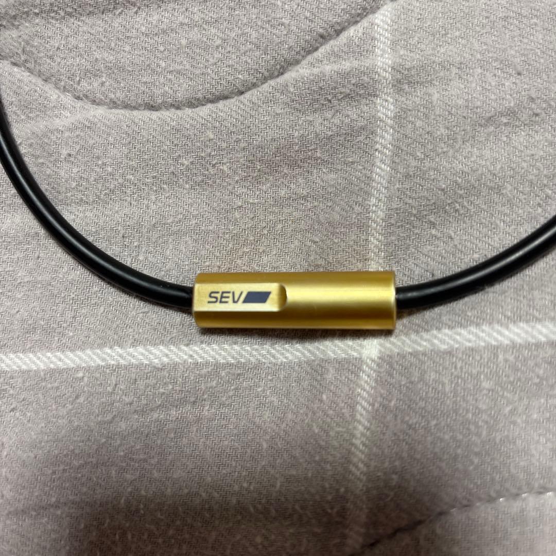 SEV シンプル チョーカー ネックレス 黒金