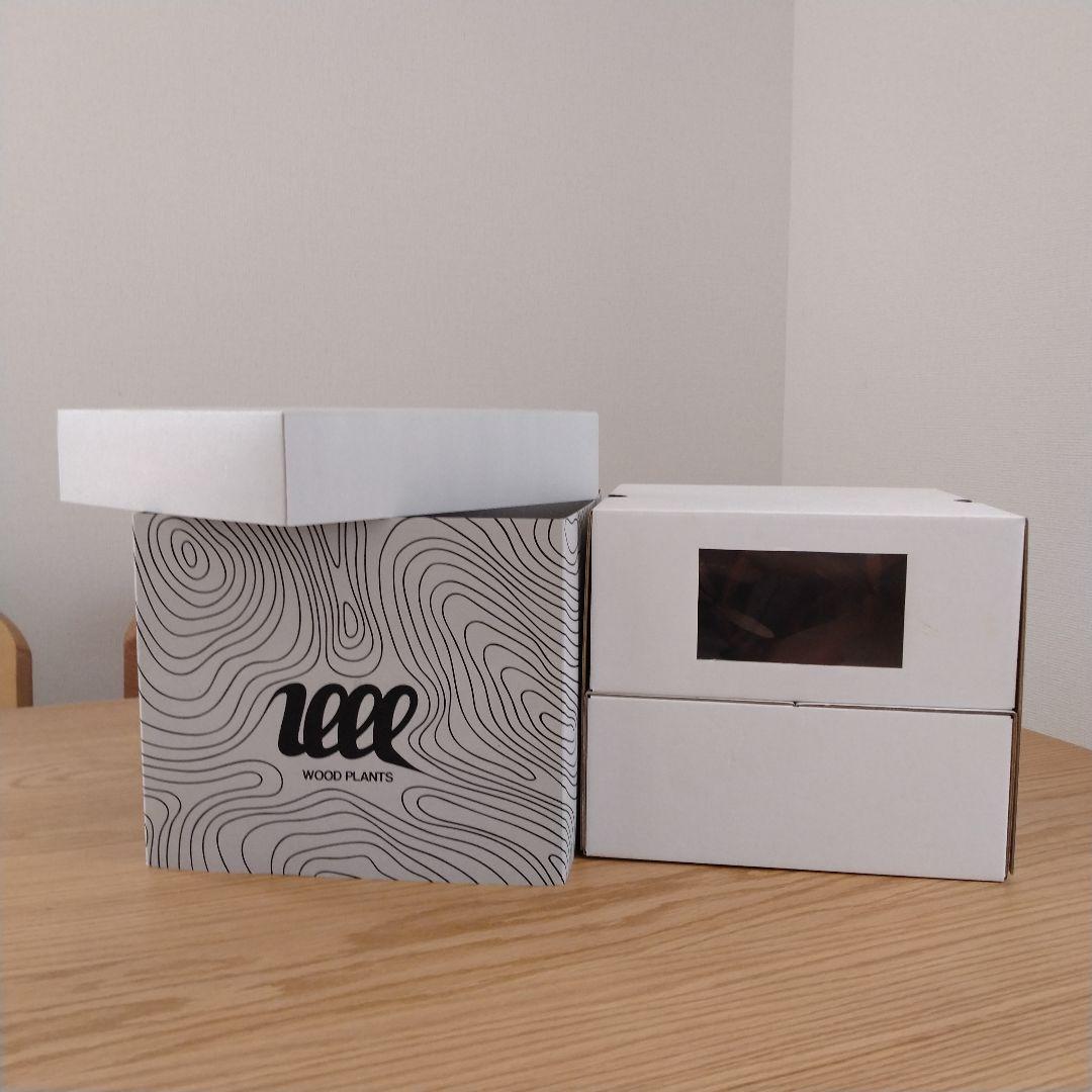 N*I様 落札キャンセルによる再出品 MOCMOC グラキリス　木製　枯れないグ