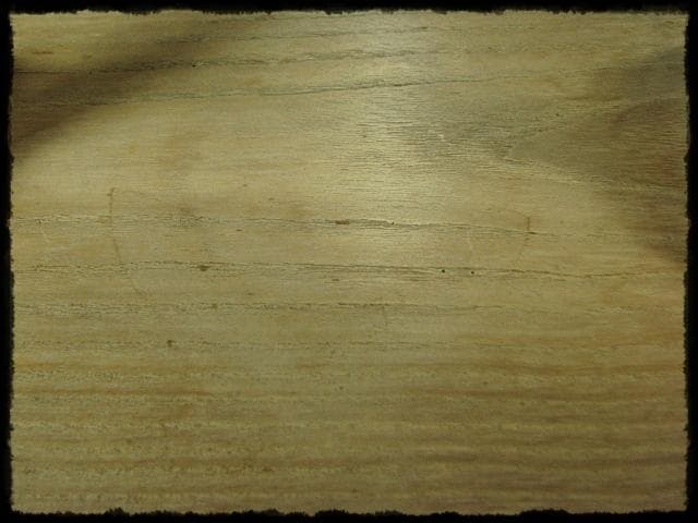 駒沢 利斎 利休好 桐 丸卓 棚物 茶道具 千家十職 指物師 共箱 f309