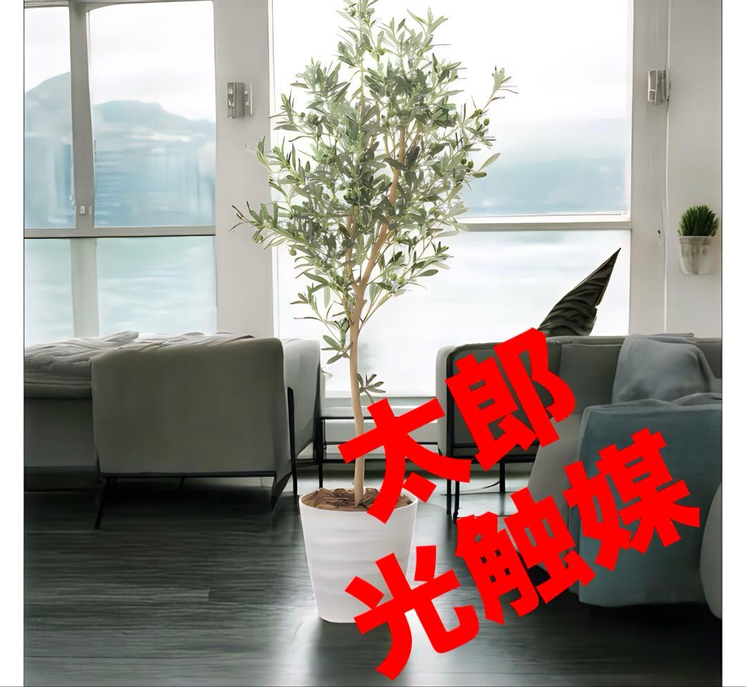光触媒　人工観葉植物　ウォールグリーン　フェイクグリーン　オリーブ1.6