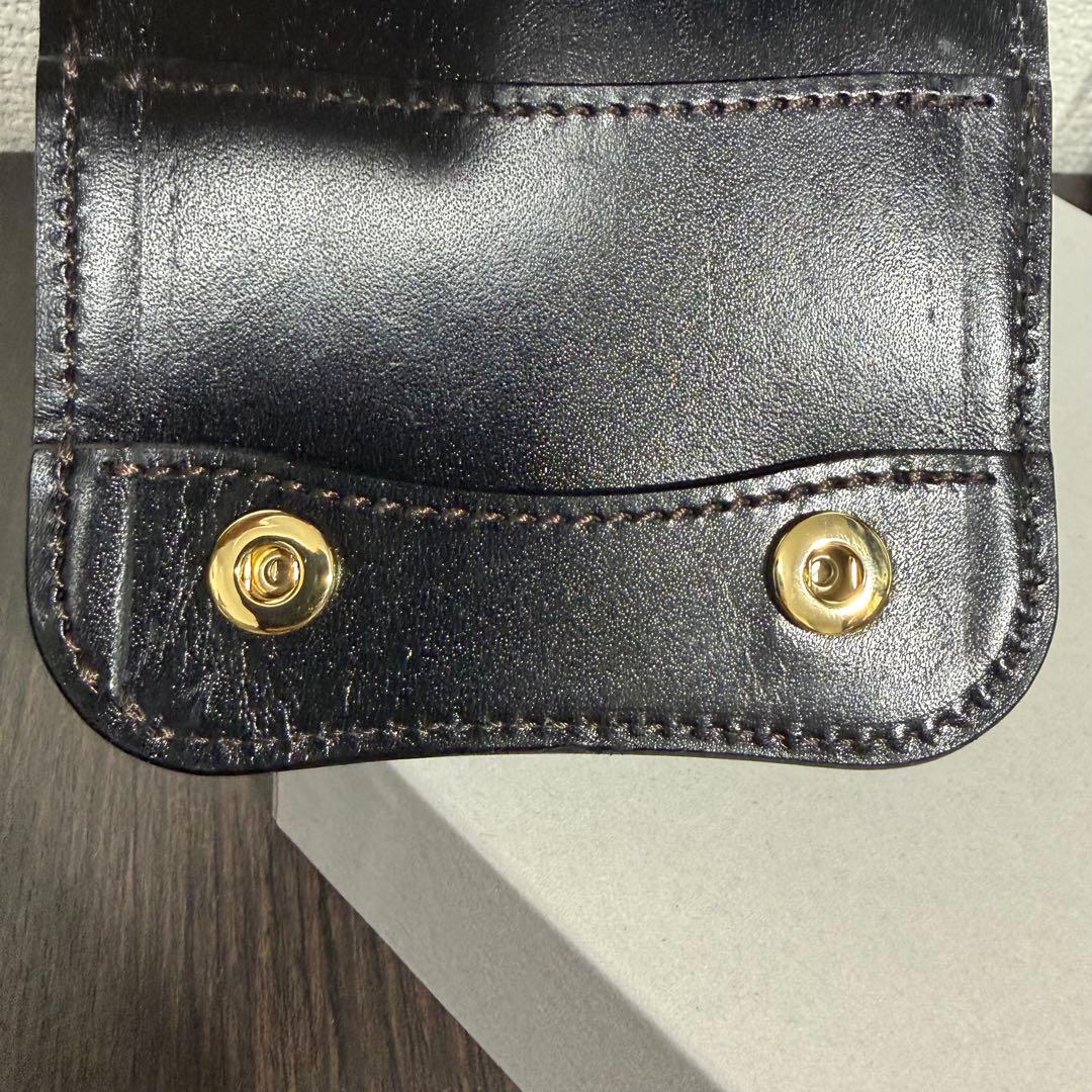 【美品】ワイルドスワンズ　CROCODILE / PALM-V2 ブラック