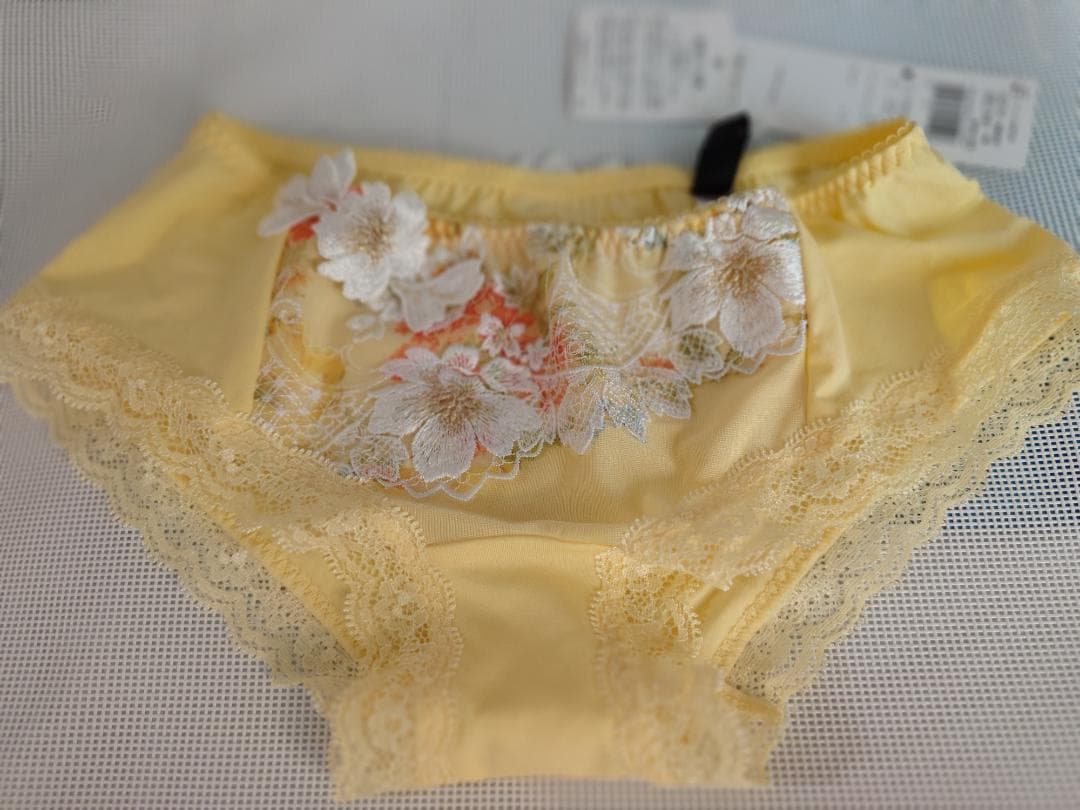 サルート BTJ401 F70