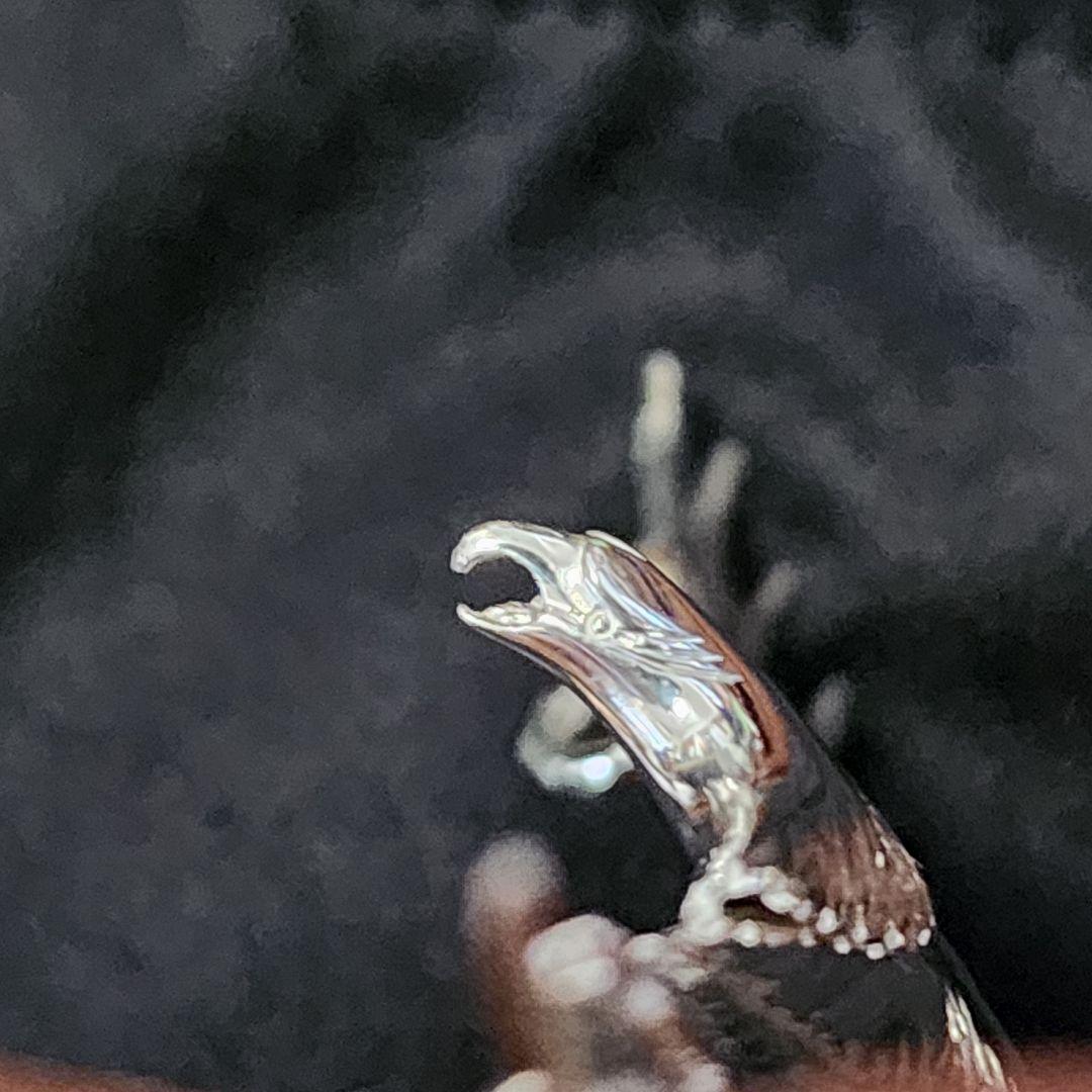 Studio Matildaスタジオマチルダ全銀大イーグル