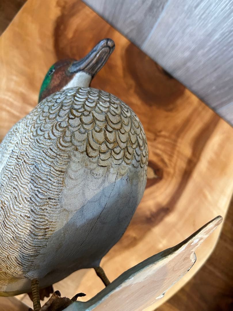 バードカービング　ヨシガモ　鴨　野鳥　（複数購入お値引き可）