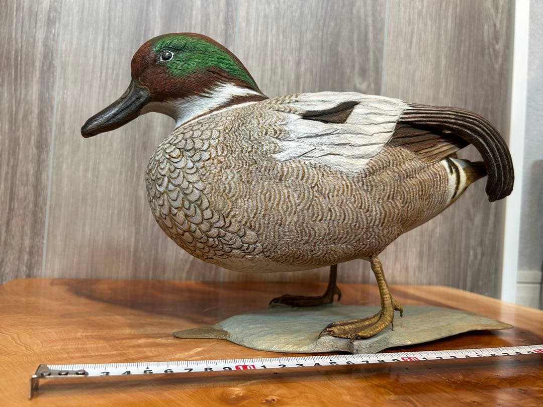 バードカービング　ヨシガモ　鴨　野鳥　（複数購入お値引き可）