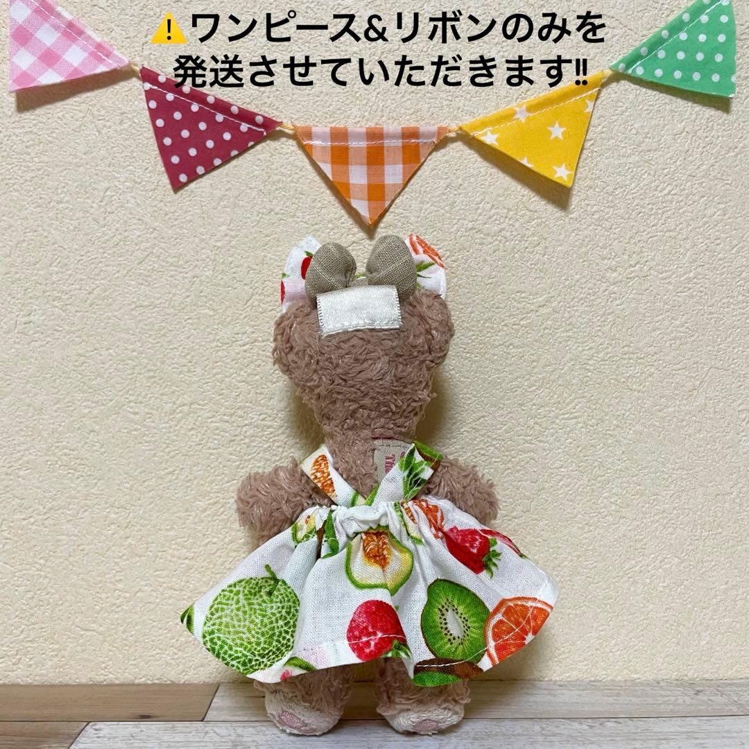 ハンドメイド★フルーツプリント。ワンピースセット★ぬいば♡ストラップ用コス