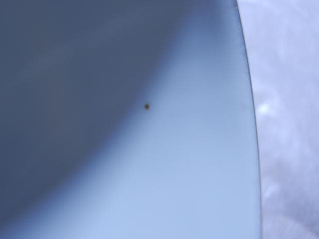 オールドノリタケ トリオ タージマハルイメージ 蜃気楼 　置き場管理 001