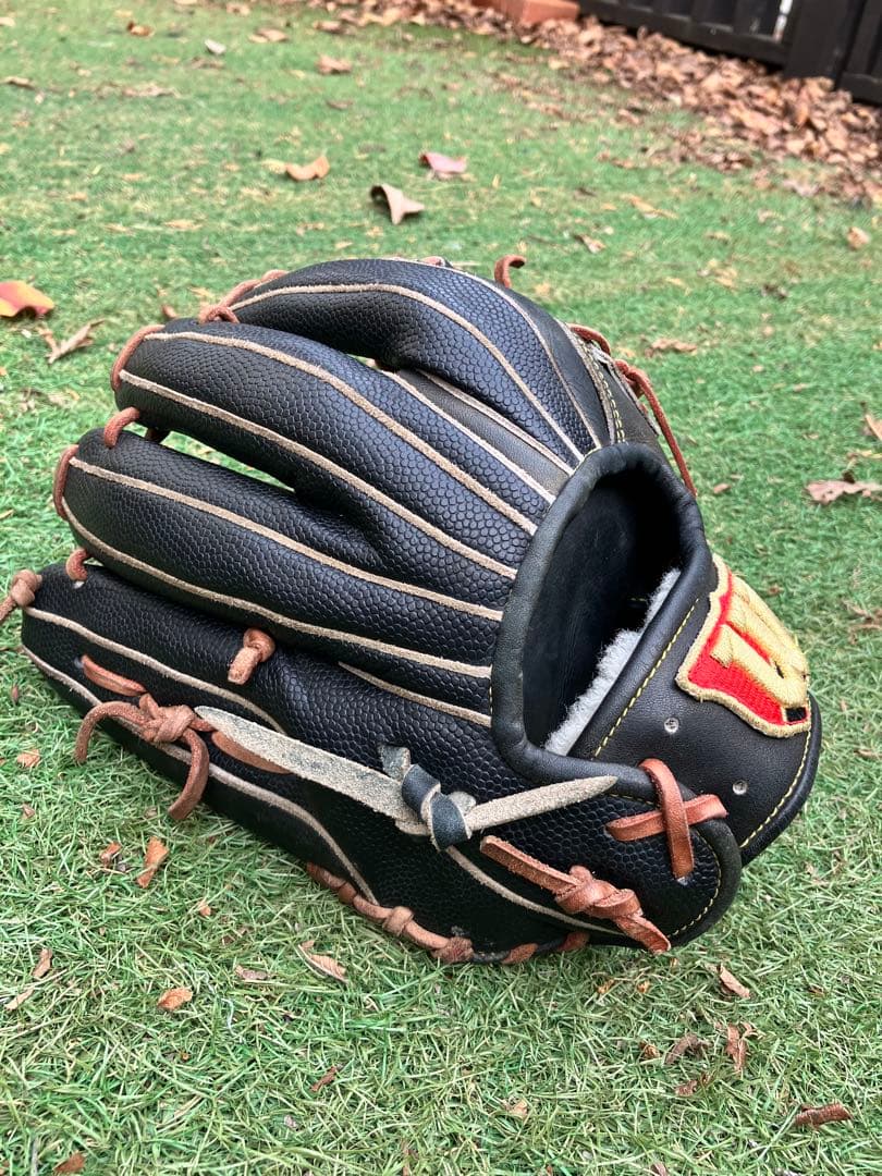 最高の掴み！Wilson硬式グローブD5型