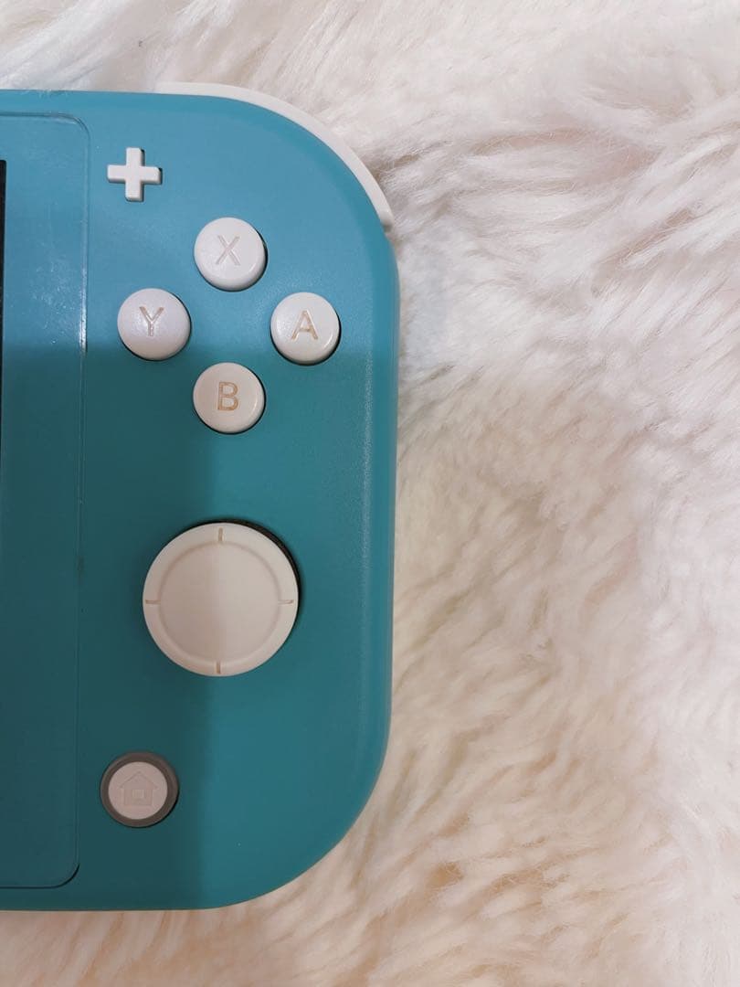 Nintendo Switch Lite 本体＋ケース