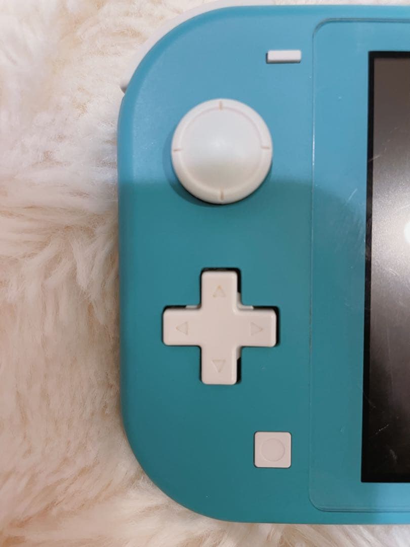 Nintendo Switch Lite 本体＋ケース