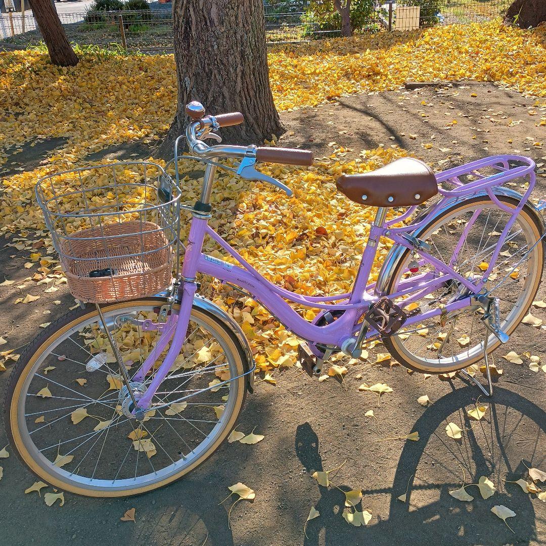 子供用自転車 バスケットカゴ付き 22インチ