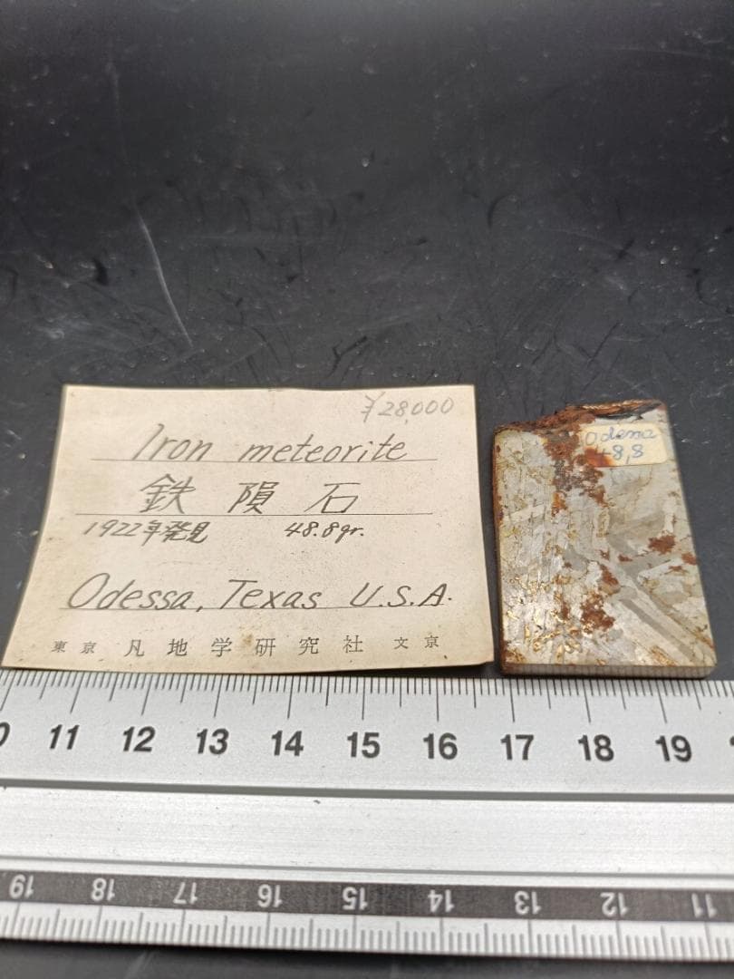 鉄隕石 Odessa Meteorite 48.8g 凡地学研究社 ラベル付き