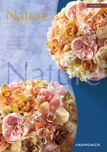 カタログギフト（ヴェルジェ）定価50800円・ハーモニック・Nature