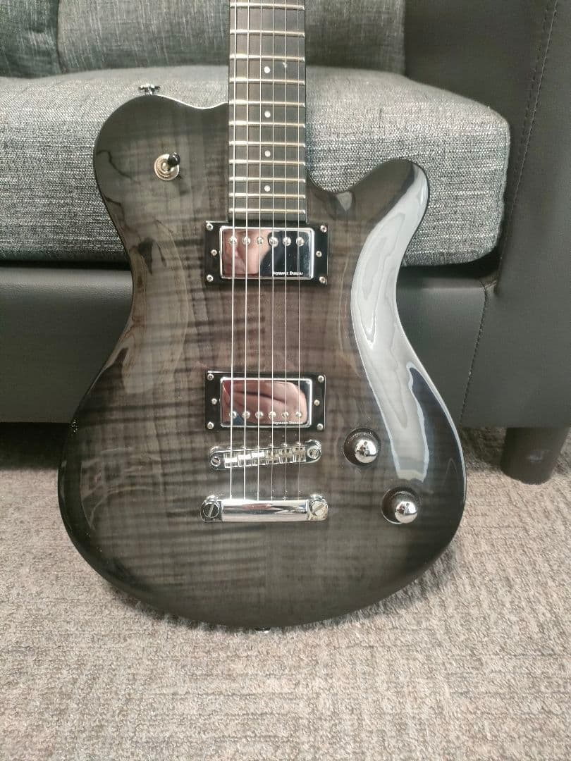 希少！Framus Dシリーズ Panthera Supreme　フラマス