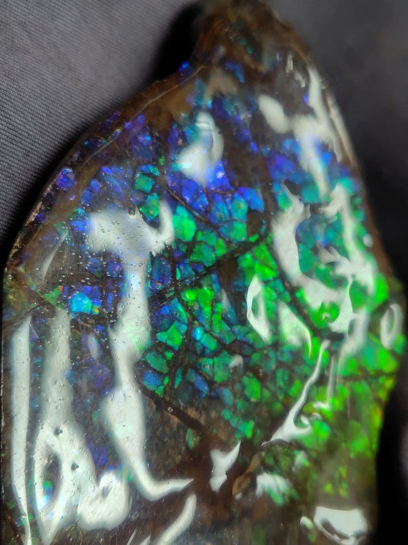 アンモライト　　　鉱物　宝石　化石　アンモナイト　原石