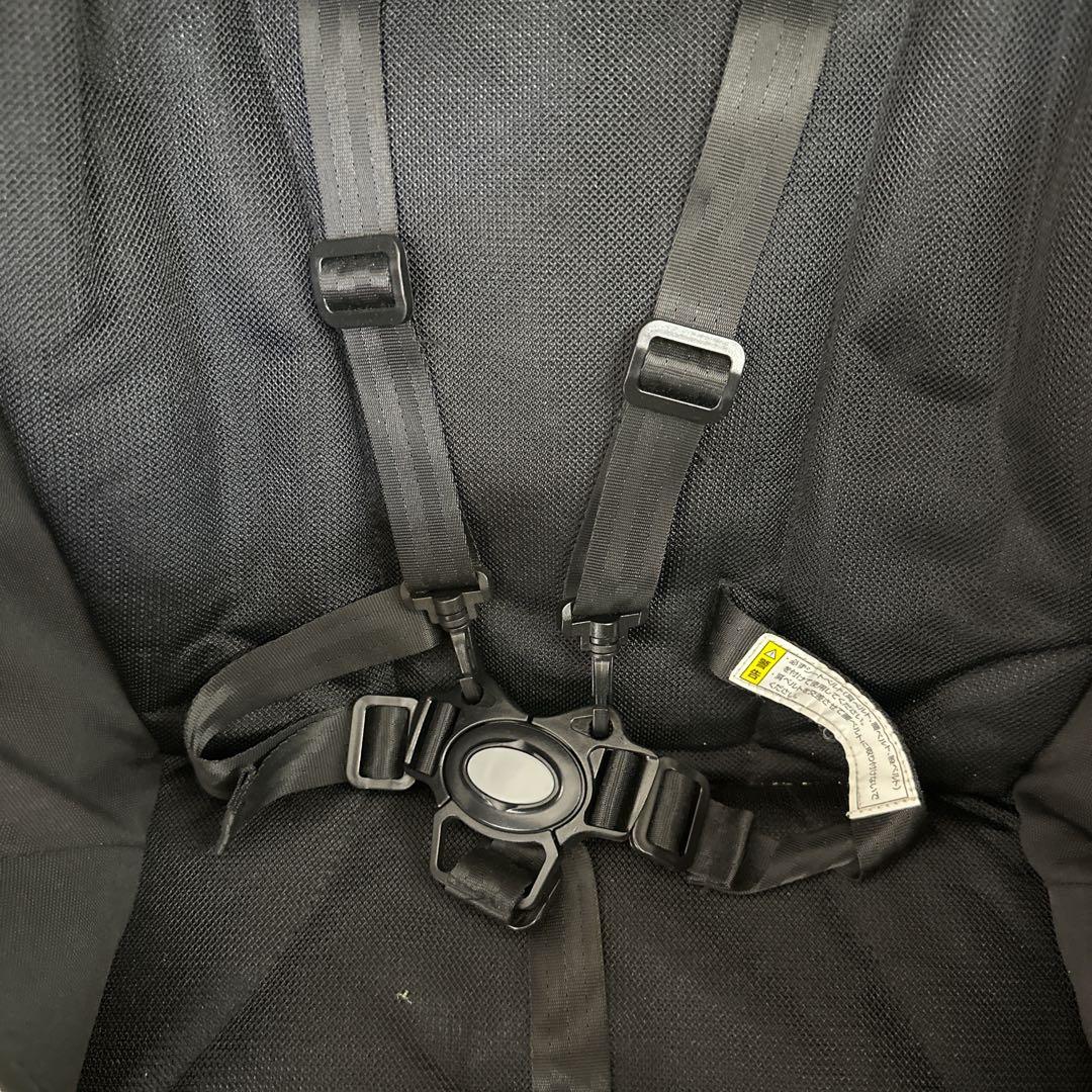 KATOJI 二人でゴーDX ブラック 2人乗りベビーカー