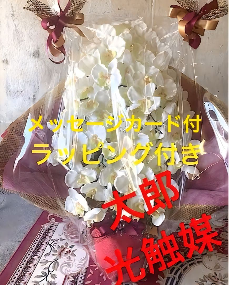 光触媒　人工観葉植物　ウォールグリーン　フェイクグリーン　胡蝶蘭１０本