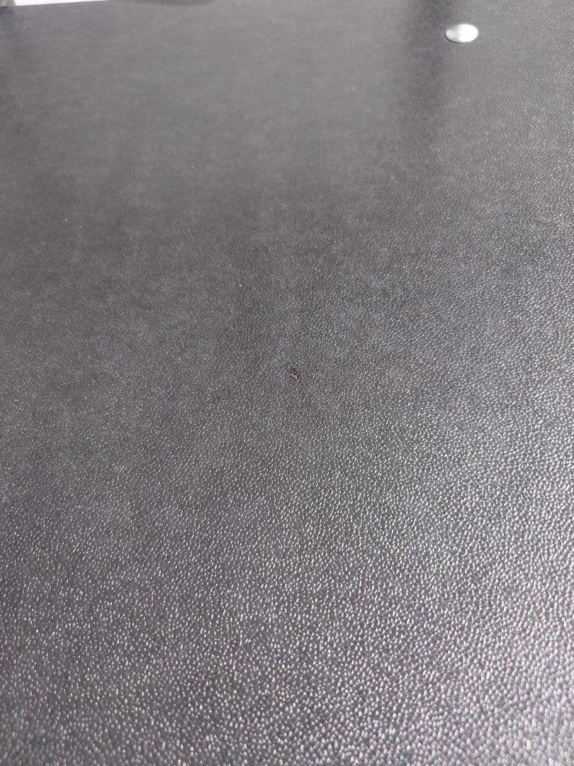 【展示品】ガルファニタス／Model S.16チェア／ブラック②