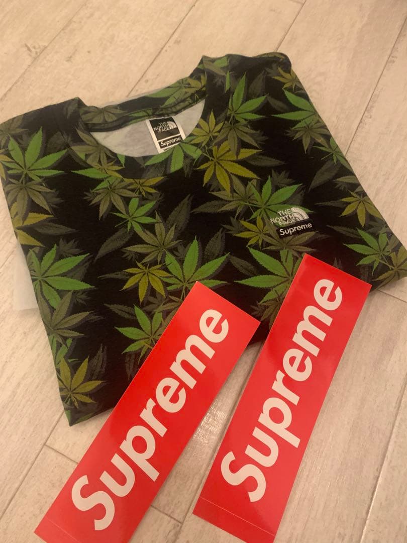 supreme the north face リーフT Sサイズ