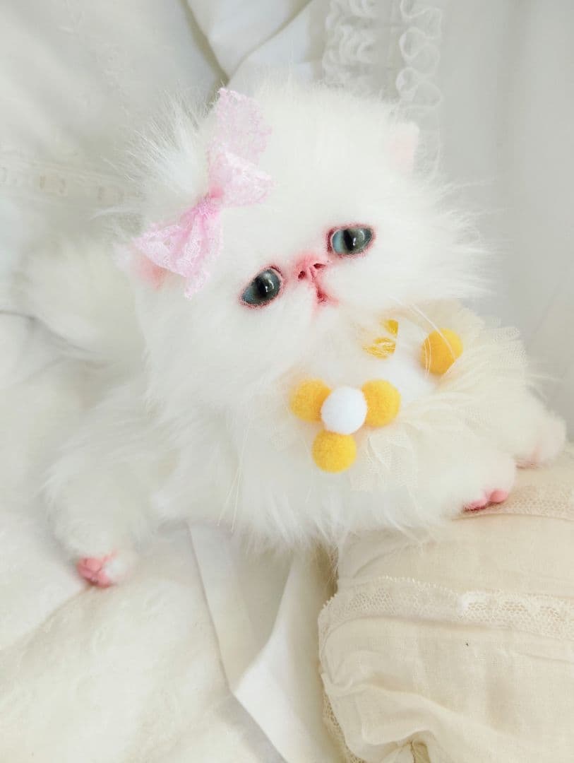 まなあきちゃん御予約❤️生後3ヶ月♡天使みたいな♡子猫ちゃん♡アートドール♡