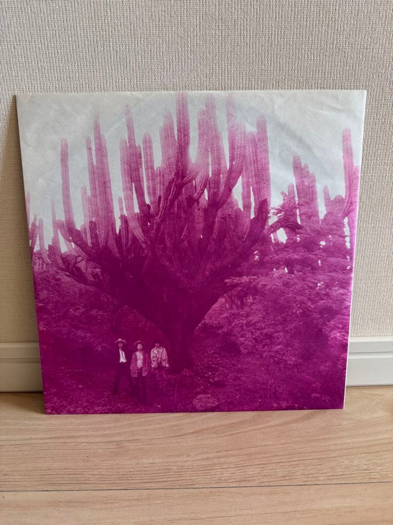 Blankey Jet City Skunk レコード ブランキージェットシティ