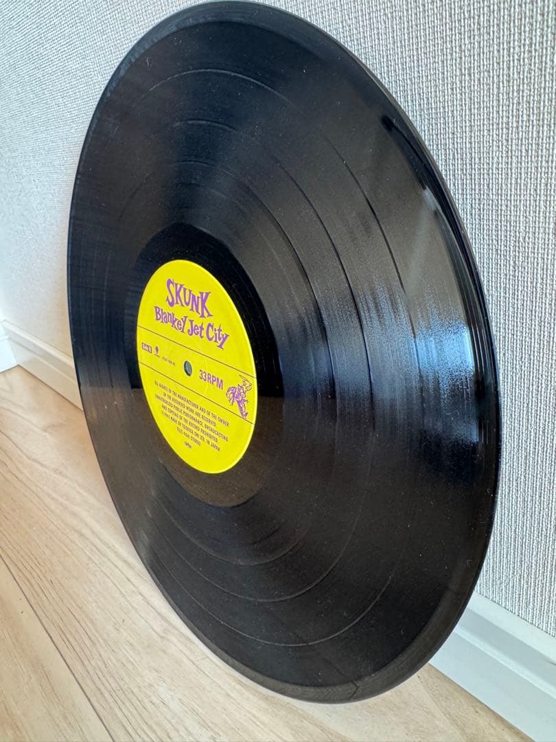Blankey Jet City Skunk レコード ブランキージェットシティ