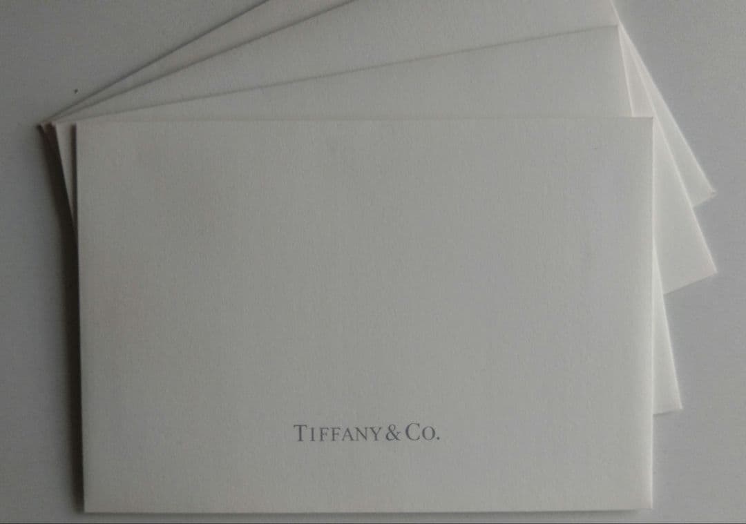 Tiffany & Co. 幅広マネークリップ　メンテナンスクロスのおまけ付き