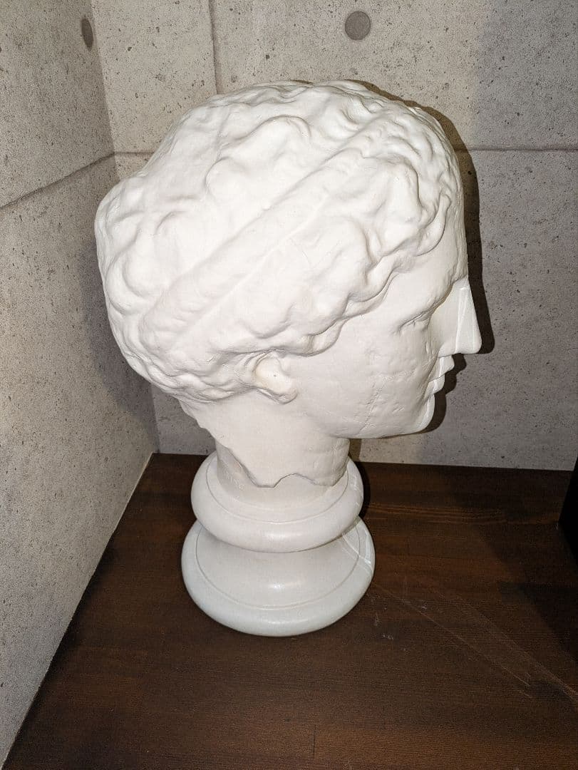 パ〇ィーン【送料無料】石膏像 ラボルト パルテノン 首像　美大　デッサン