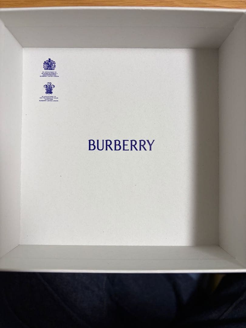 BURBERRY スターリングシルバー　ホースネックレス 現行品