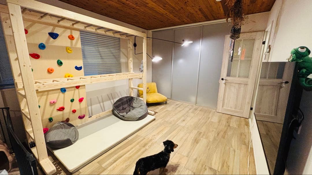 うんてい　ボルダリング　雲梯　知育うんてい　正規品