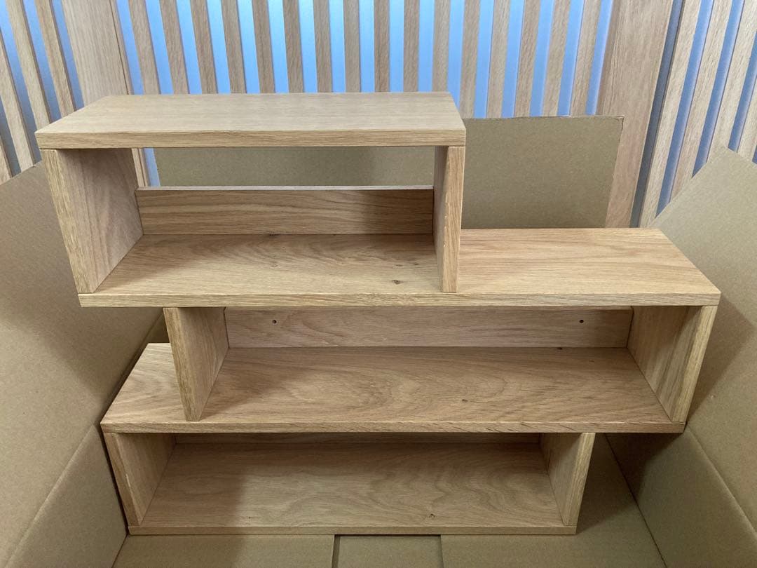 scope サイドバイサイド　ティーラック（新品）