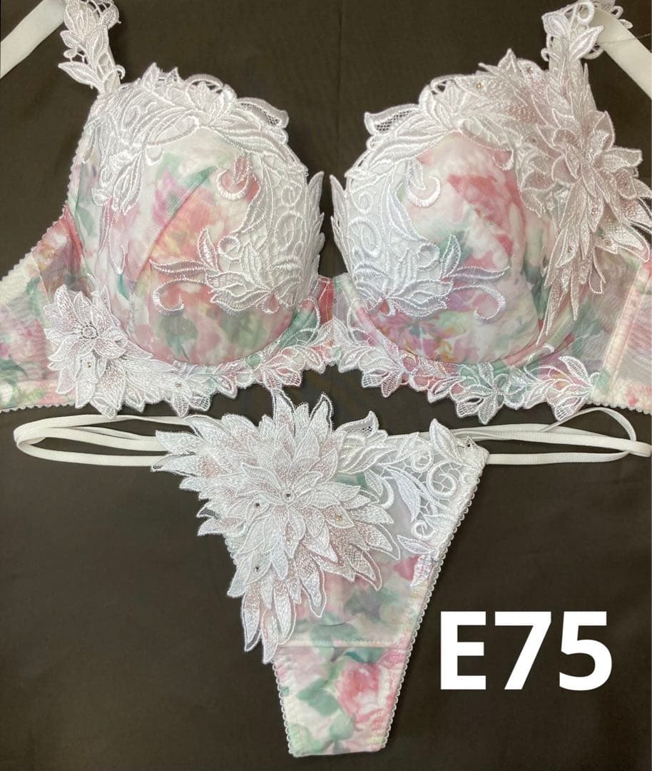 新品　ワコール　サルート　62G アールデコ　E75 ソングM PI