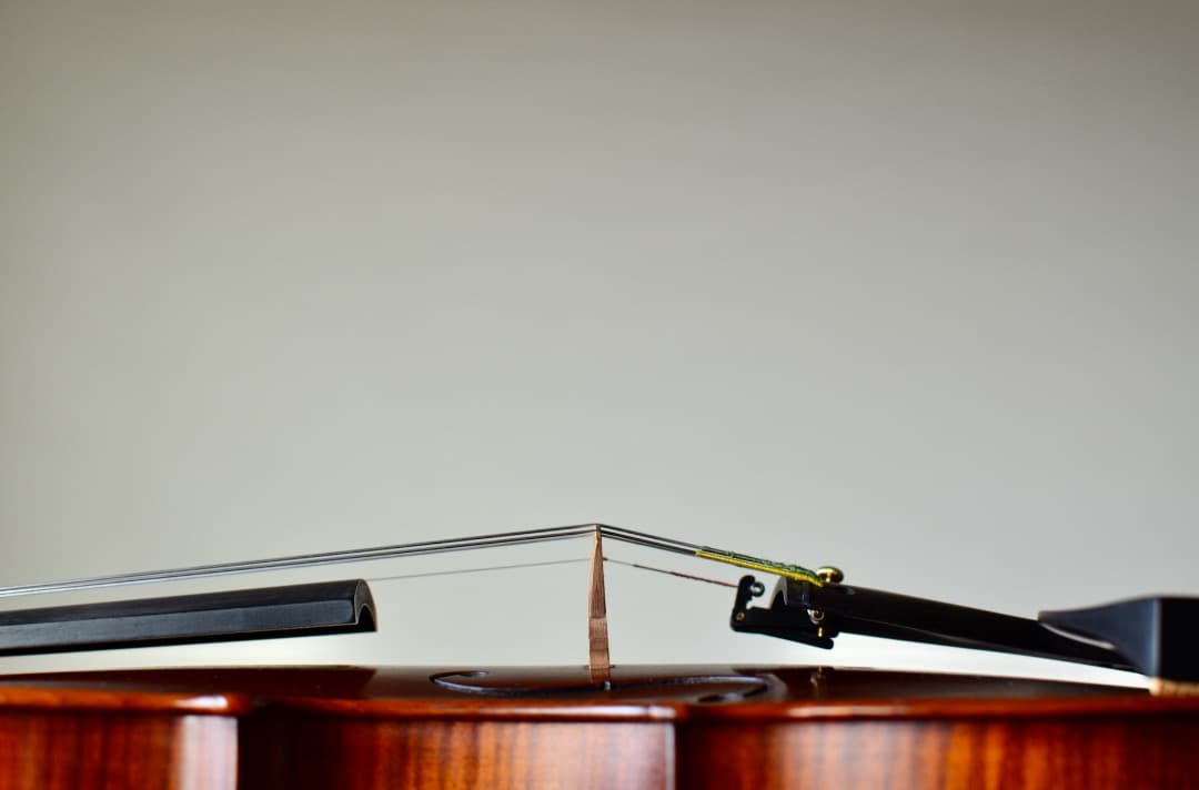 【銘器】R.Paesold No.804A バイオリン 4/4