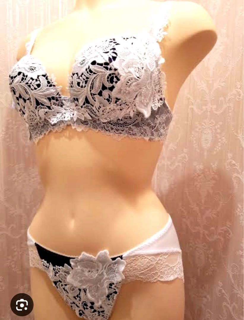 ワコール/サルート 19 店舗限定 新品タグ付 P-upブラショーツG65