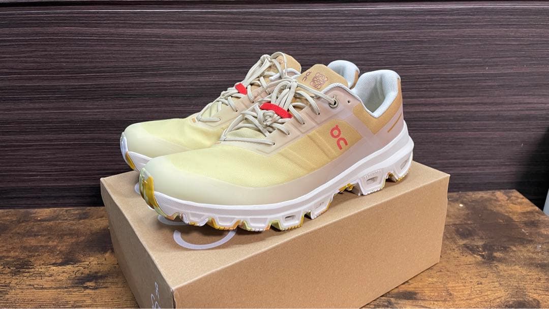 Loewe ロエベxOn クラウドベンチャーサイズ44 スニーカー