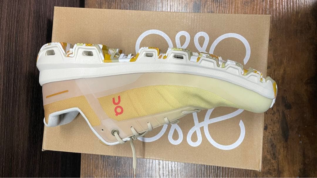 Loewe ロエベxOn クラウドベンチャーサイズ44 スニーカー