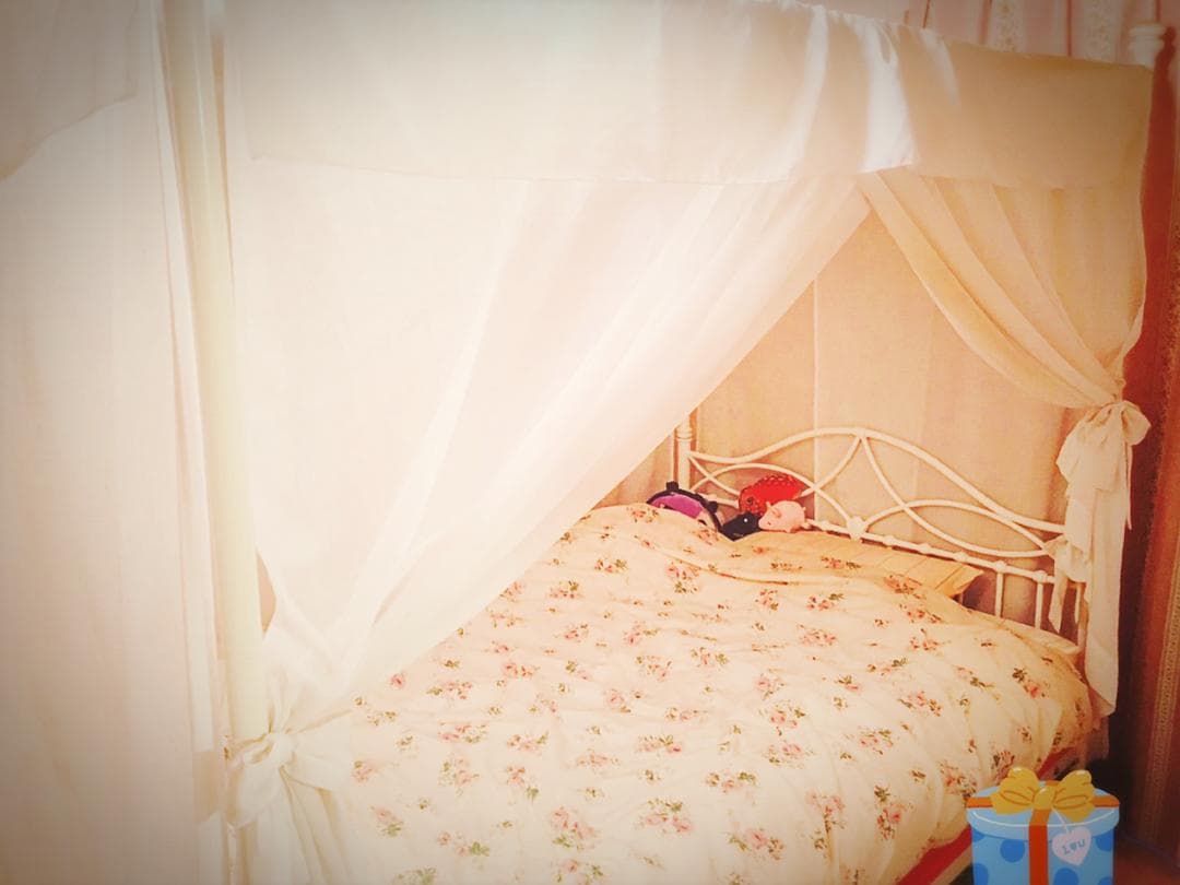 天蓋付きベッド