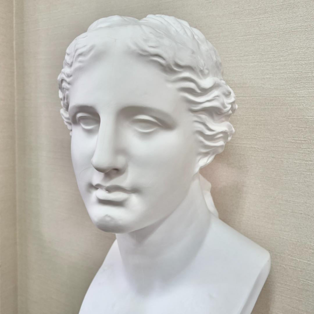 ヴィーナス胸像 デッサン用 石膏像 胸像 中古 教材 オブジェ インテリア 美術