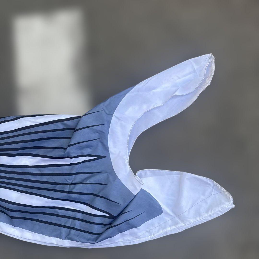 カラフル鯉のぼりセット　太郎鯉