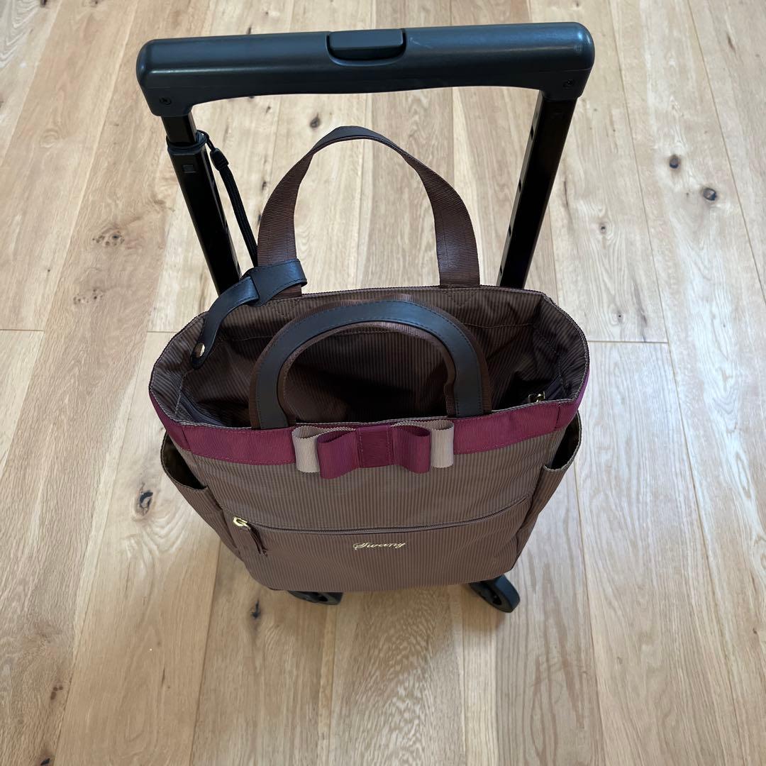 【ほぼ新品】SWANY 支えるキャリーバッグ