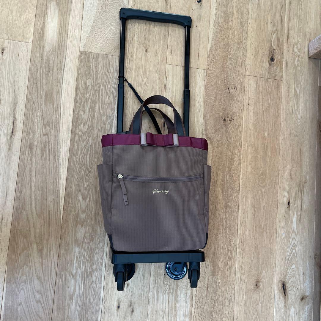【ほぼ新品】SWANY 支えるキャリーバッグ