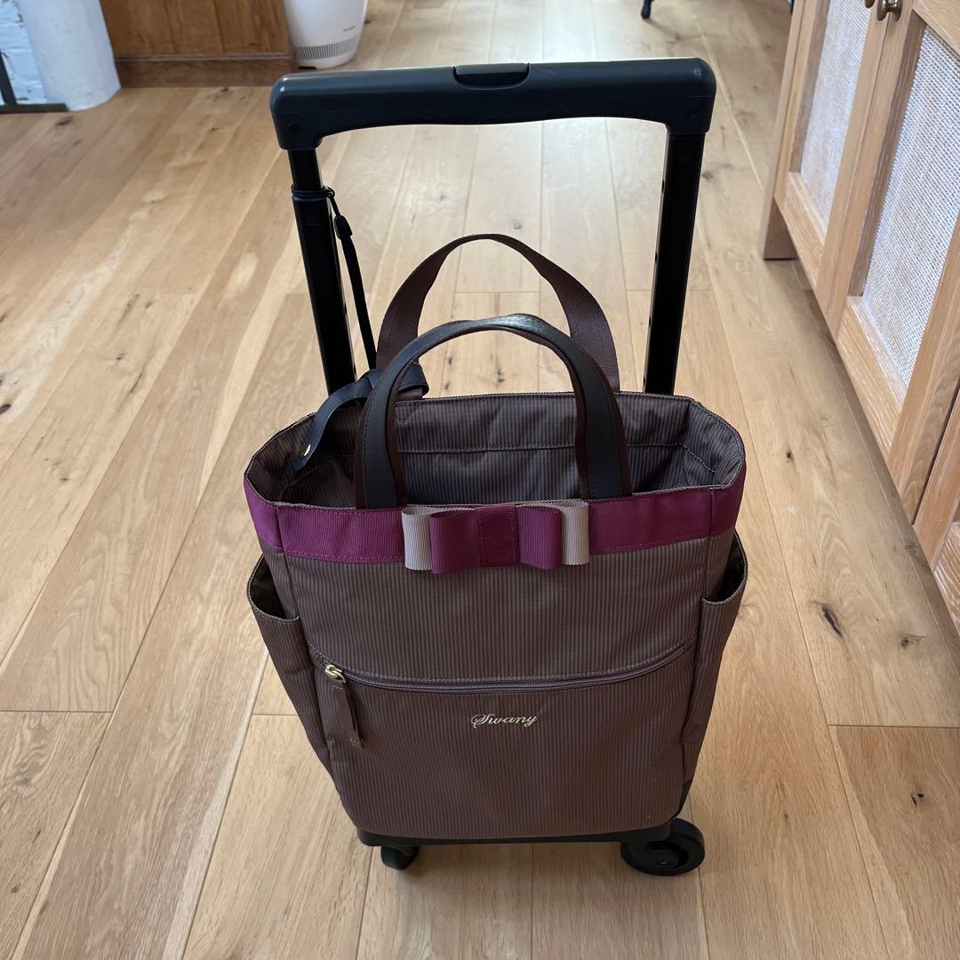 【ほぼ新品】SWANY 支えるキャリーバッグ