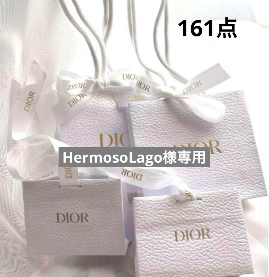 Dior リボン付きショップ袋 2サイズセット