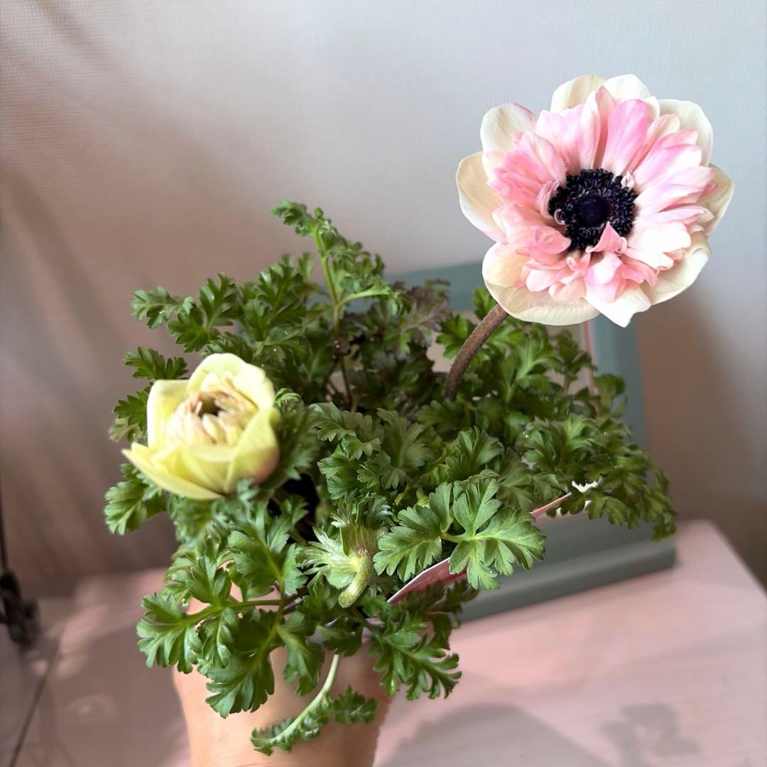 ✿Dom❤Mia✿様　確認用　レバンテ　ローザ