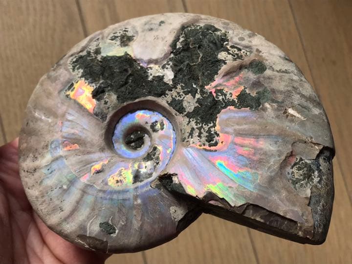 がく様 リクエスト 2点 まとめ商品