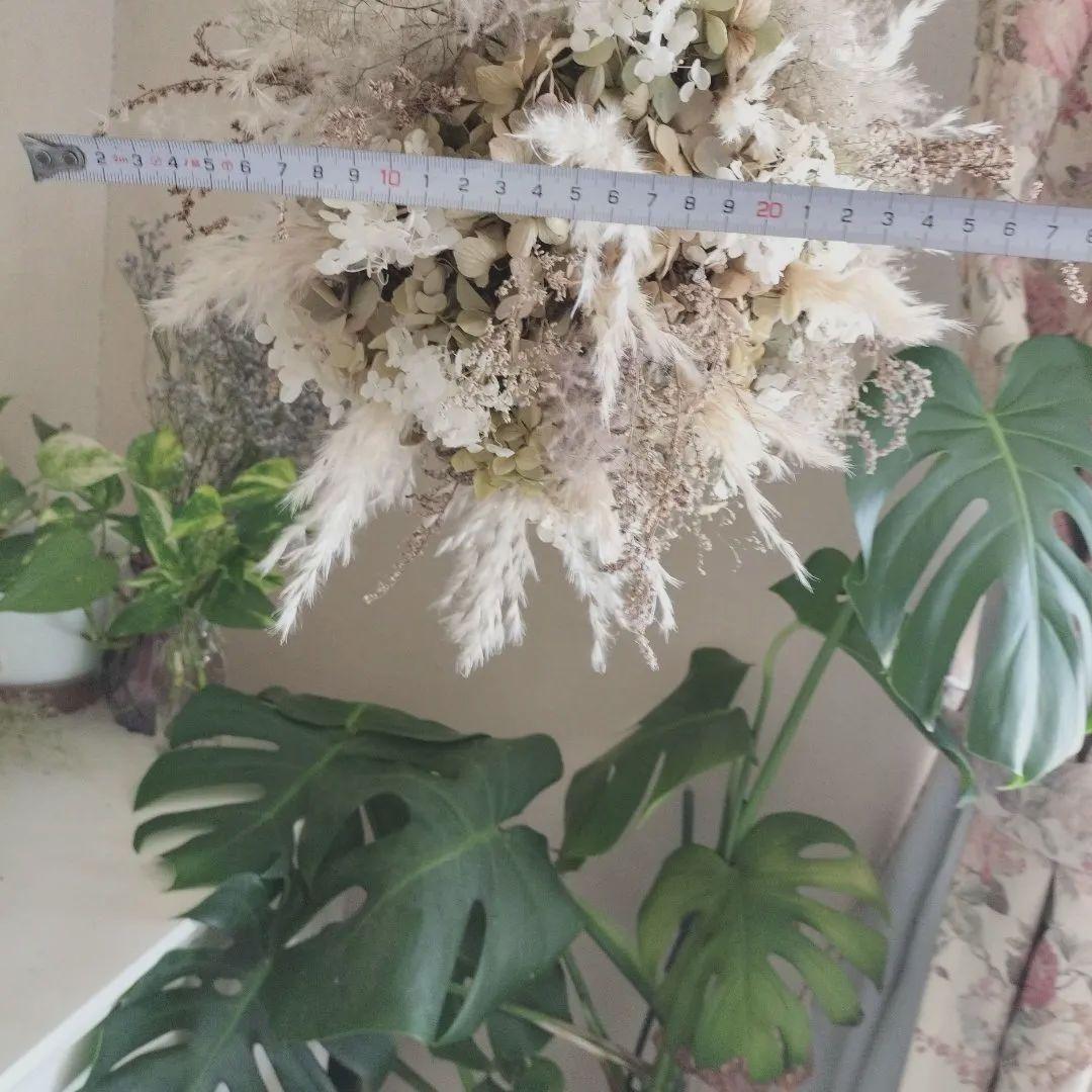 ちぽ ※プロフ要確認ページ